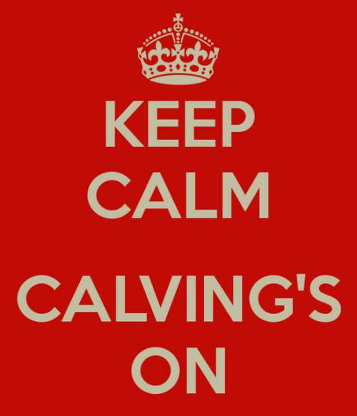 keep-calm-calving-s-on