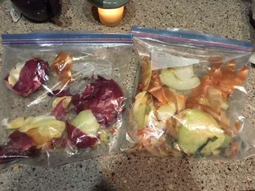 Random bags of veggie scraps.