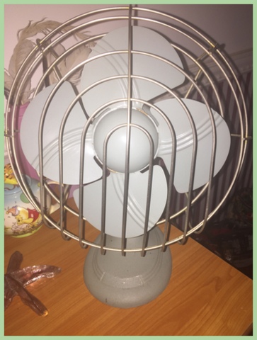 Circulating air benefits plants by drying moisture from leaves, making plants stronger and sturdier, and keeping some kinds of infestations from insects away. I picked up this cool vintage fan for my warm sunny room at a barn sale