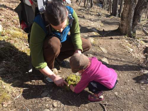 Family hikes in the Alaskan mountains make us all happier and healthier!  I think they are feeling moss in this picture.