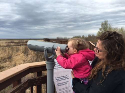 Bird watching just south of Anchorage.