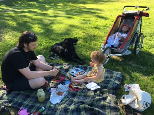 Lemonade: The perfect beverage for a summertime dinner picnic.