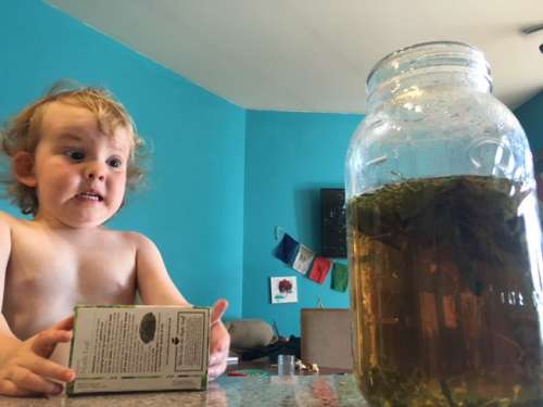 I think this photo of Ava is hilarious.  Watch that tea steep! It's almost ready to become lemonade!