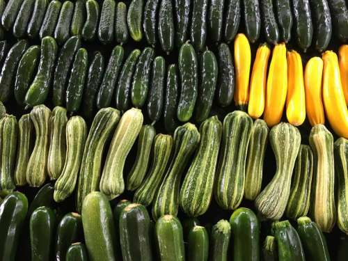 Zucchini, anyone?