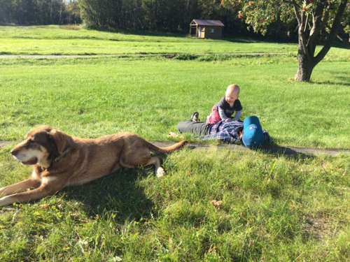 Dogs and babies set good examples. 