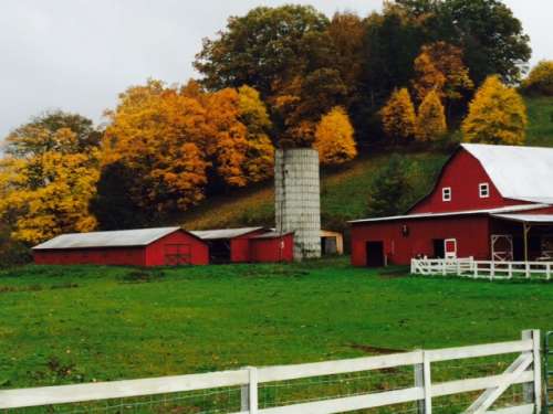 barn