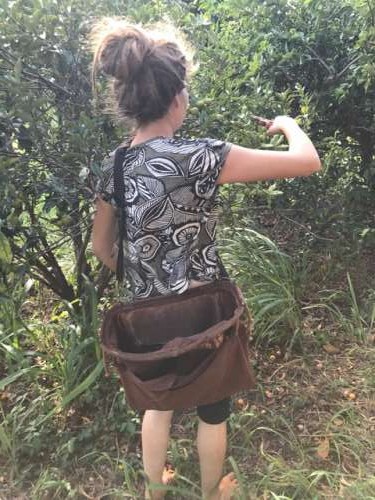 A farm worker calmly harvesting kumquats, barefoot; and with a vintage cherry picking bag!