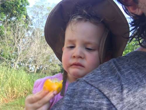 Ava loves kumquats.