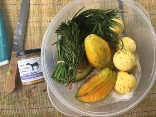 Fruit and herbs from Moloa'a Organica'a--some grown with the nutrients from humanure! 