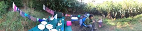 Farmgirls do what they gotta do.  This is our makeshift clothesline at our Koke'e campsite. 