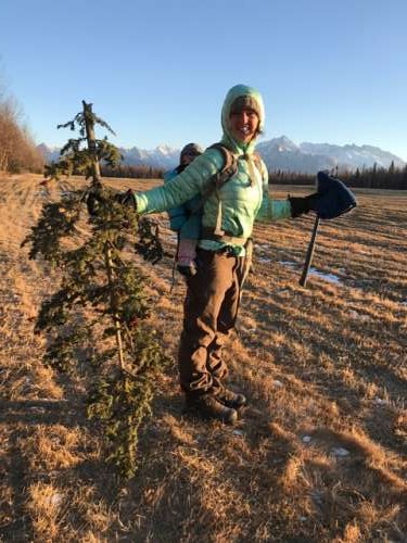 What can I say? I like bladed instruments.  This is our impressive tree.  It is the top of a spruce tree that had recently fallen over the hiking trail.  It is covered in spruce cones!  Our best tree yet.