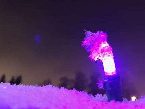 LED lights don't get warm, so frost can grow on them.