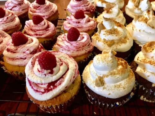 Cupcakes for a snowy birthday: Orange with raspberry frosting and S'more (chocolate cupcake with "marshmallow" frosting and graham cracker dust). YUM winter treats!