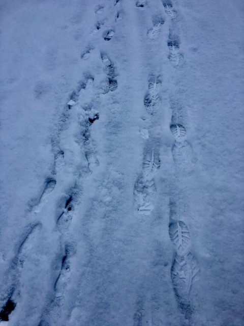 Baby footsteps and mommy footsteps looking for nature in the city.