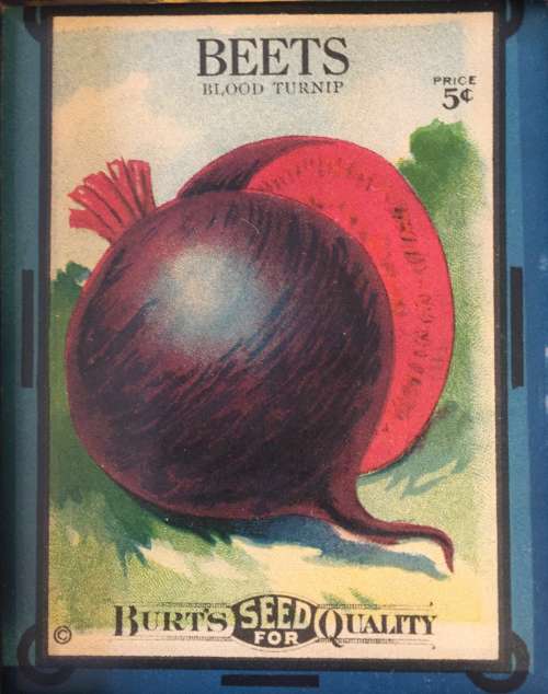 Don't you love the art on this early 1900's seed packet?