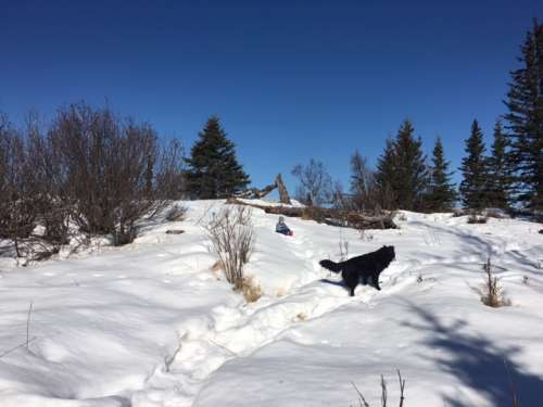 It's still very wintery in the mountains!  Plus, the melting snow does have somewhere to go--down into nearby ravines.