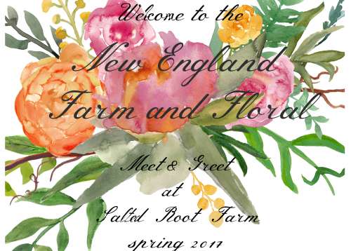 new england flower copy copy-001