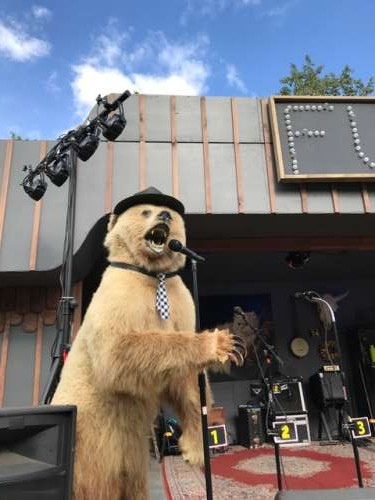 Unexpected bear sighting at local music festival.