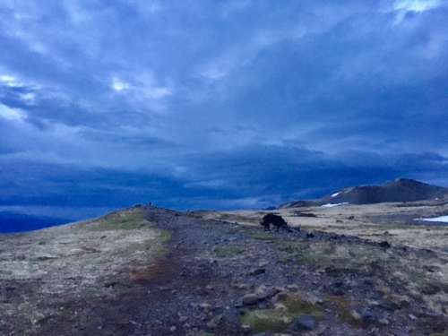 The path home, this is about 1:30 a.m.