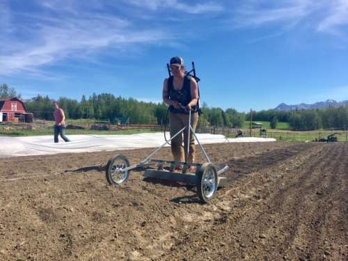 Anne-Corinne's new flame weeder at work! It is so cool (well...hot!).