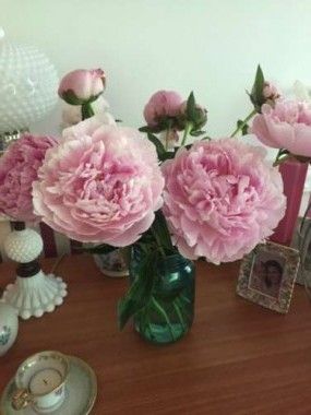 Last year's peonies were magnificent...this year there are even more blooms!
