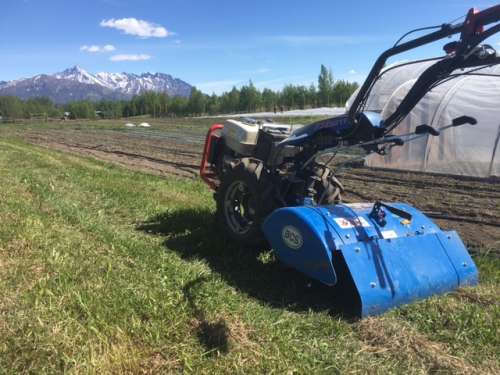 I imagine there are some no-till advocates on here, but I gotta say...I love this machine and the lovely tilth of the soil after using it!