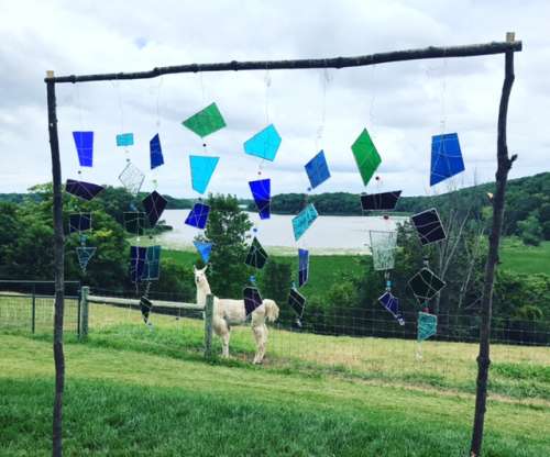 Ceremony backdrop, complete with llama.