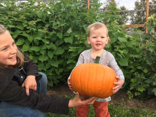 We harvested pumpkins and winter squash a few weeks ago.  We've had a couple of frosts in September.