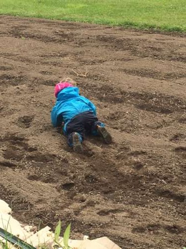 Gotta help those cover crop seeds germinate, huh Opal?