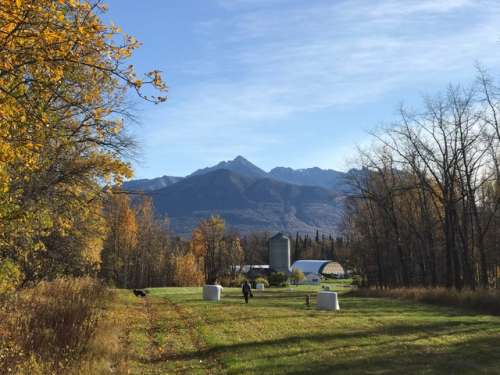 Crisp view of a hay field getting ready for winter.