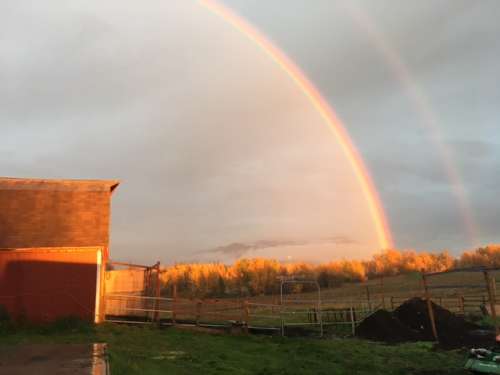 One of nature's purest forms of poetry, beauty after the rain.