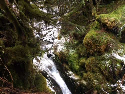 I took a snowy solo rainforest hike when I took a mom night last weekend at a nearby resort! Highly recommended to all tired moms. I found a good deal and did it :)