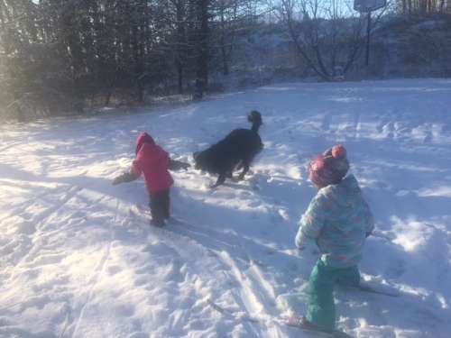 Skiing with the kiddos in the yard.