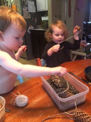 Making peanut butter bird seed feeders.