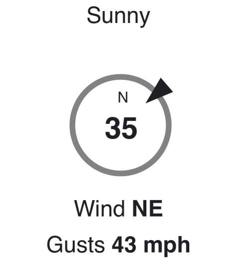 Screen shot of mid-day wind, six days into the wind storm.  At least it was sunny?