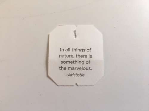 A good reminder from my Cold Care tea bag.