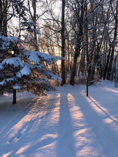 It is so beautiful when the snow sticks around and doesn't get blown away! Photo by Evan Wilder