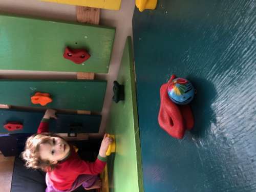 Opal keeps herself occupied retrieving eggs on the rock climbing wall in our living room.