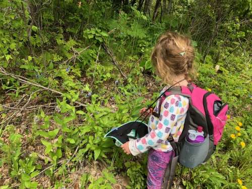 Ava collecting bluebells for the fairies