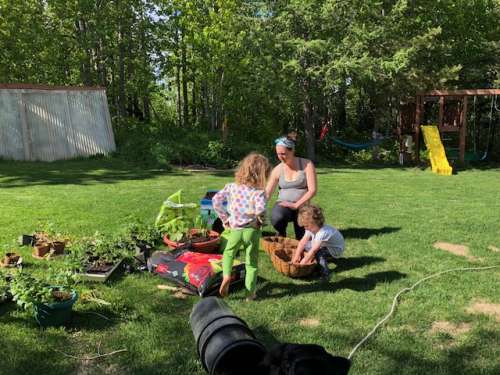 Potting up seedlings