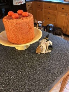I’ve never burned the realistic looking candle cake I bought many years ago. Odin and Scarlett wish it was real, too...