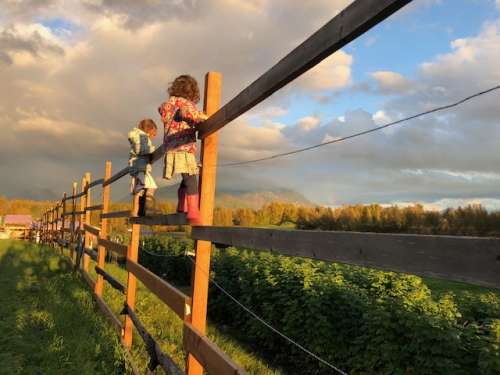 Warm Blissful days on the farm!