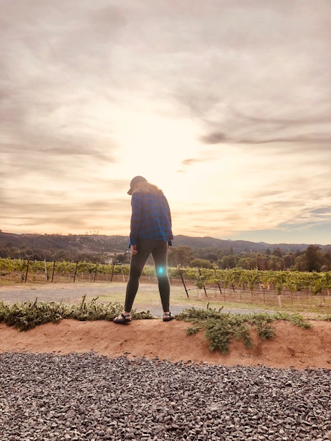 Watching the sunset from a vineyard in the country.  That is Rosemary creeping over that ridge.  The herbs grow into monsters in San Diego!  It is incredible.