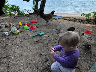 Fern at the campsite with her new chickie friends.