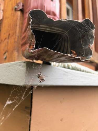 A spider.  ON a water spout! neat.