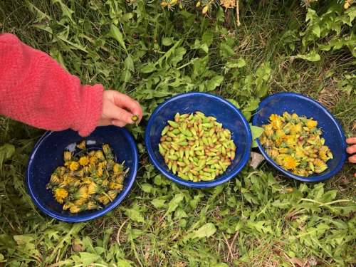 Yard treasures.