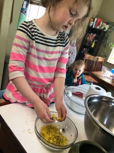 Separating the dandelion petals from the stem.