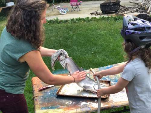 Fishing can be a family affair.  Thanks, Opal!