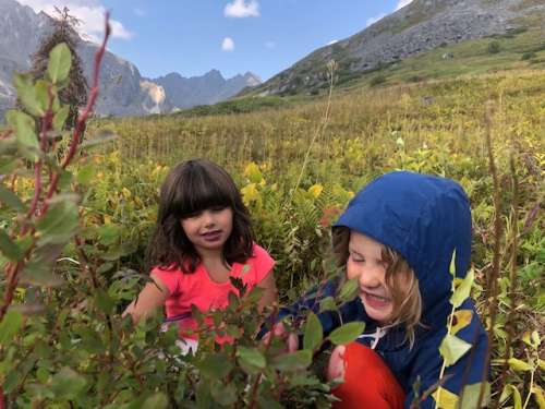 For now, we will enjoy our easy access to beautiful blueberry patches.