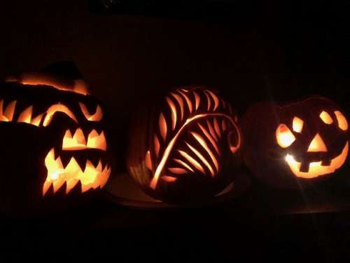 One more Halloween photo. Our pumpkins--one scary, one happy and one neither!